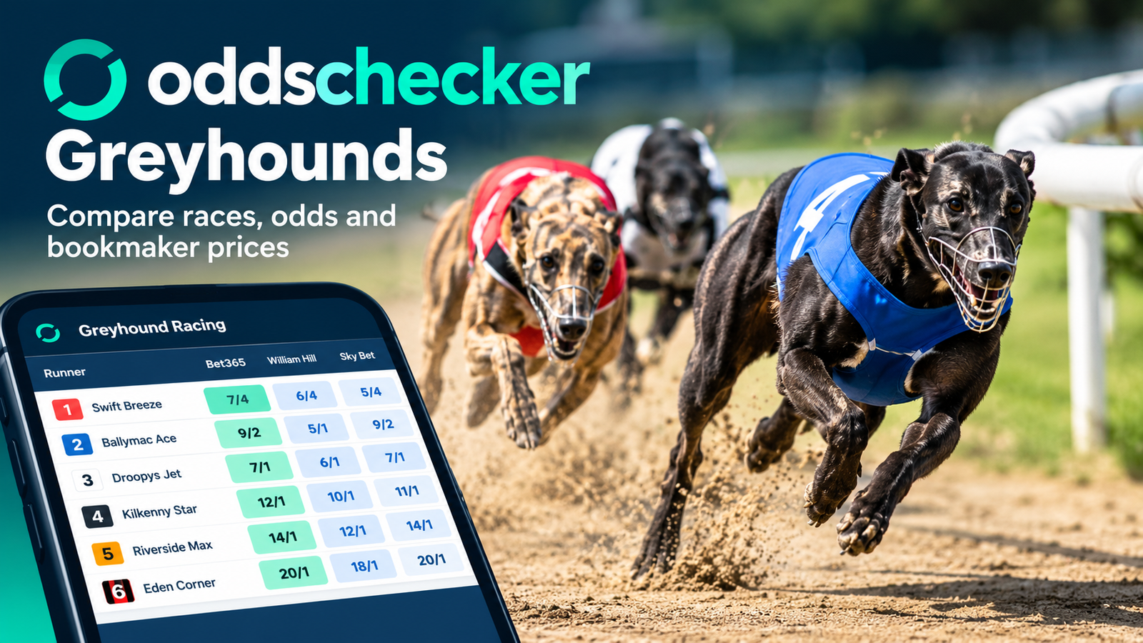 oddschecker greyhounds